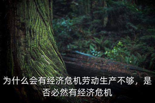 為什么會(huì)有經(jīng)濟(jì)危機(jī)勞動(dòng)生產(chǎn)不夠，是否必然有經(jīng)濟(jì)危機(jī)