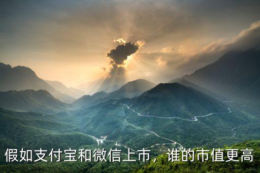 假如支付寶和微信上市，誰的市值更高