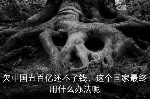欠中國(guó)五百億還不了錢(qián)，這個(gè)國(guó)家最終用什么辦法呢