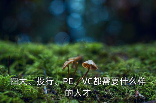 四大、投行、PE、VC都需要什么樣的人才