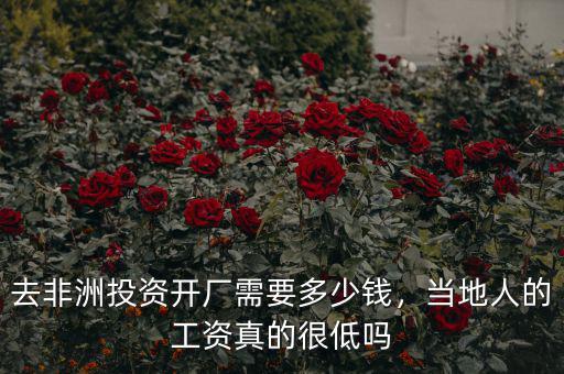 去非洲投資開(kāi)廠需要多少錢(qián)，當(dāng)?shù)厝说墓べY真的很低嗎