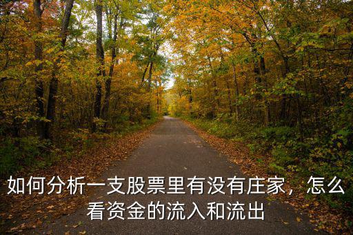 如何分析一支股票里有沒(méi)有莊家，怎么看資金的流入和流出