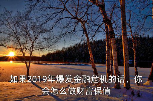 如果2019年爆發(fā)金融危機的話，你會怎么做財富保值