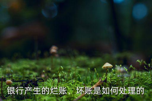 銀行產(chǎn)生的爛賬、壞賬是如何處理的