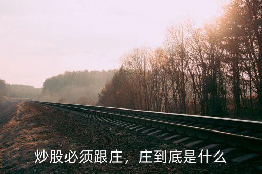 炒股必須跟莊，莊到底是什么