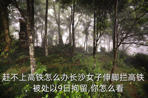 高鐵趕不上怎么辦,自己趕不上動(dòng)車(chē)
