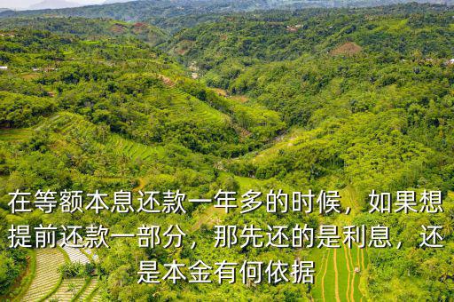 在等額本息還款一年多的時(shí)候，如果想提前還款一部分，那先還的是利息，還是本金有何依據(jù)
