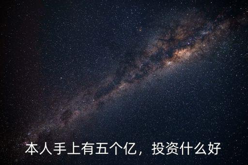 本人手上有五個(gè)億，投資什么好