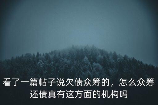 看了一篇帖子說欠債眾籌的，怎么眾籌還債真有這方面的機構(gòu)嗎