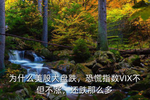 為什么美股大盤跌，恐慌指數(shù)VIX不但不漲，還跌那么多