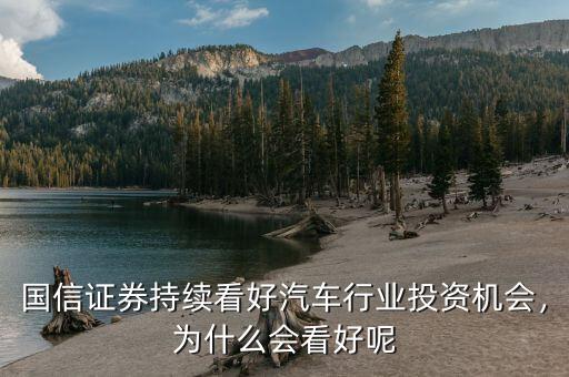 國信證券持續(xù)看好汽車行業(yè)投資機會，為什么會看好呢