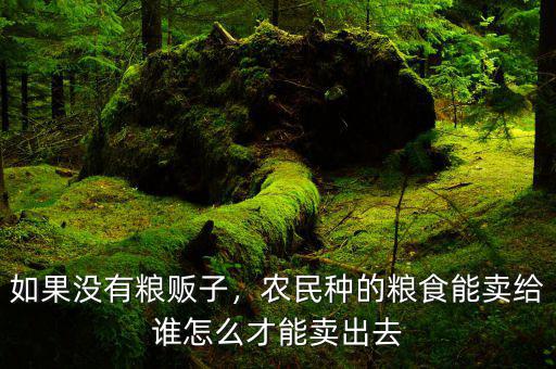 如果沒有糧販子，農民種的糧食能賣給誰怎么才能賣出去