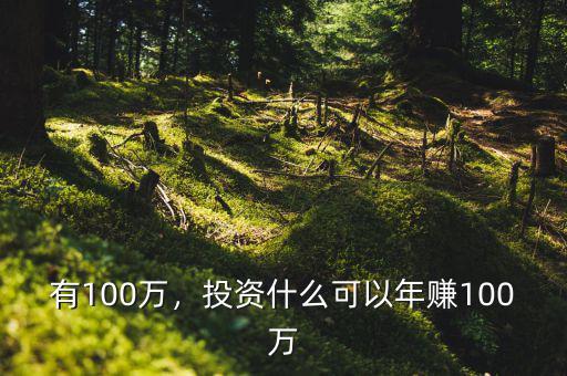有100萬，投資什么可以年賺100萬