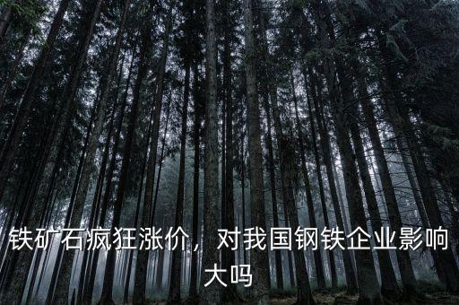鐵礦石瘋狂漲價(jià)，對(duì)我國鋼鐵企業(yè)影響大嗎