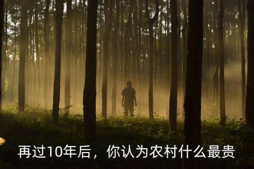 再過10年后，你認為農村什么最貴