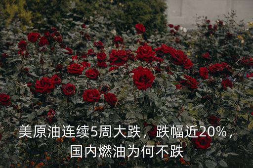 美原油連續(xù)5周大跌，跌幅近20%，國內(nèi)燃油為何不跌