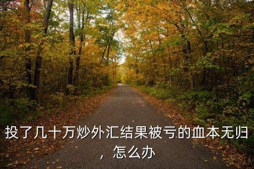 投了幾十萬炒外匯結(jié)果被虧的血本無歸，怎么辦
