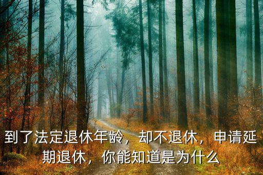 到了法定退休年齡，卻不退休，申請延期退休，你能知道是為什么