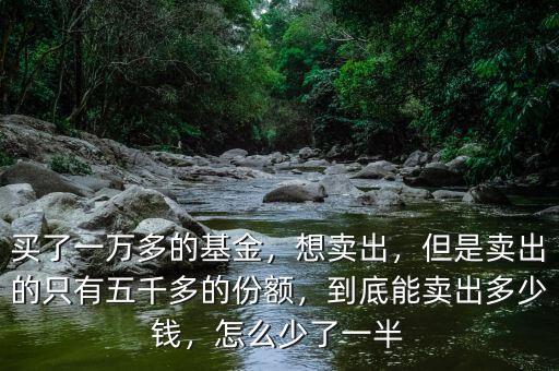 買(mǎi)了一萬(wàn)多的基金，想賣(mài)出，但是賣(mài)出的只有五千多的份額，到底能賣(mài)出多少錢(qián)，怎么少了一半