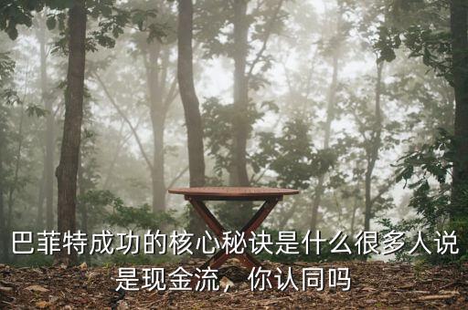 巴菲特成功的核心秘訣是什么很多人說是現(xiàn)金流，你認同嗎