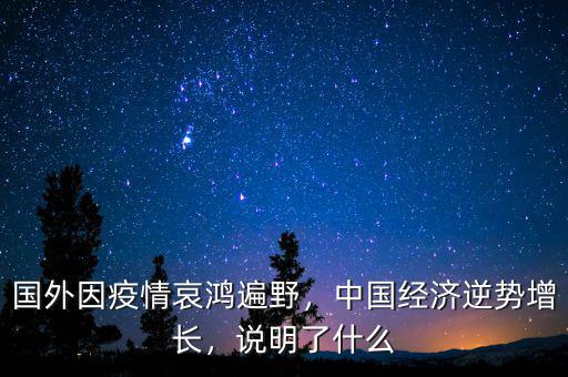 國外因疫情哀鴻遍野，中國經(jīng)濟(jì)逆勢增長，說明了什么