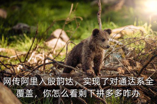 網傳阿里入股韻達，實現了對通達系全覆蓋，你怎么看剩下拼多多咋辦
