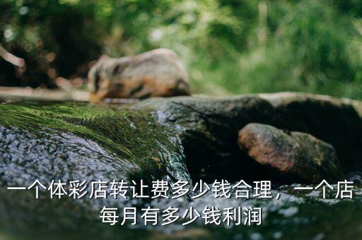 一個(gè)體彩店轉(zhuǎn)讓費(fèi)多少錢合理，一個(gè)店每月有多少錢利潤(rùn)