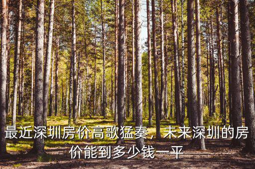 最近深圳房價(jià)高歌猛奏，未來深圳的房價(jià)能到多少錢一平