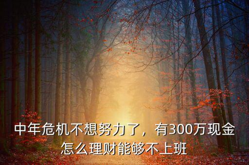 中年危機不想努力了，有300萬現(xiàn)金怎么理財能夠不上班