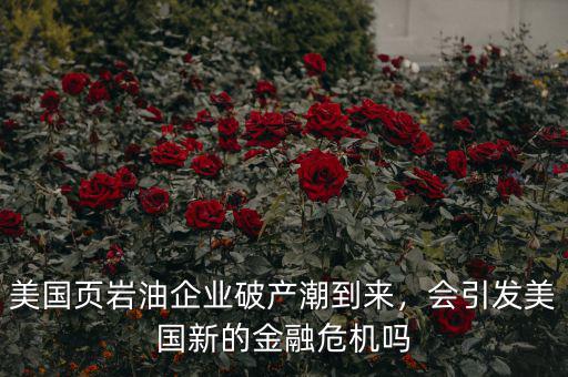 美國頁巖油企業(yè)破產(chǎn)潮到來，會引發(fā)美國新的金融危機(jī)嗎