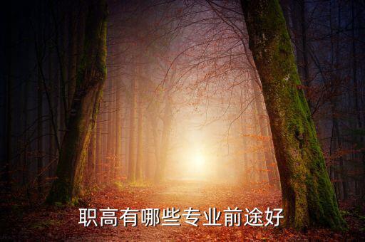 職高有哪些專(zhuān)業(yè)前途好