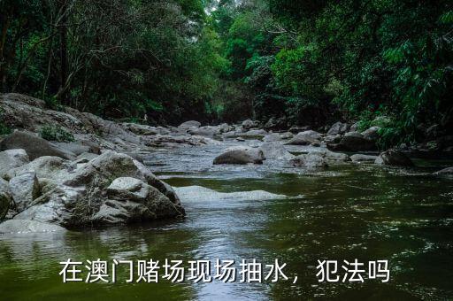 在澳門賭場現(xiàn)場抽水，犯法嗎