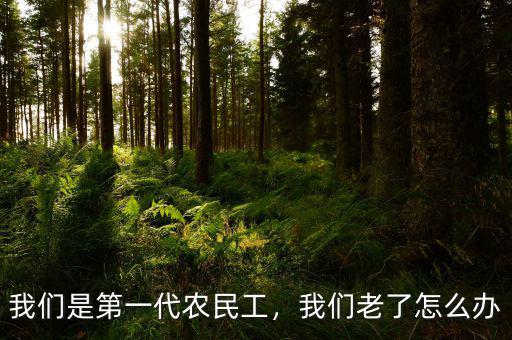我們是第一代農(nóng)民工，我們老了怎么辦