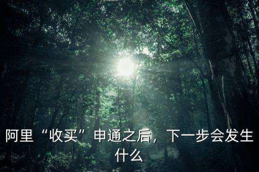 阿里“收買(mǎi)”申通之后，下一步會(huì)發(fā)生什么