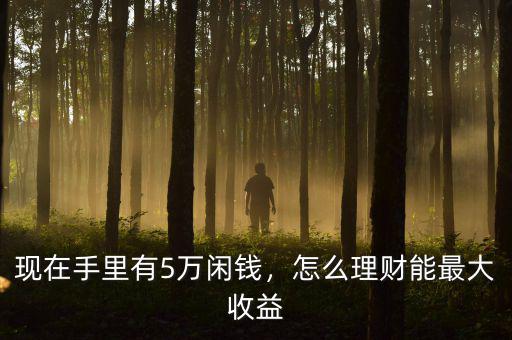 現(xiàn)在手里有5萬(wàn)閑錢(qián)，怎么理財(cái)能最大收益