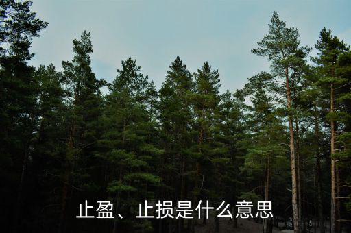 止盈、止損是什么意思