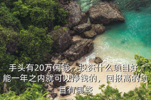 手頭有20萬(wàn)閑錢，投資什么項(xiàng)目好，能一年之內(nèi)就可以掙錢的，回報(bào)高的項(xiàng)目有哪些
