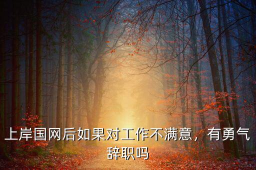 上岸國網(wǎng)后如果對工作不滿意，有勇氣辭職嗎