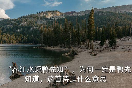“春江水曖鴨先知”，為何一定是鴨先知道，這首詩是什么意思