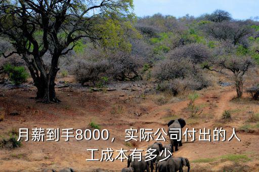 月薪到手8000，實(shí)際公司付出的人工成本有多少