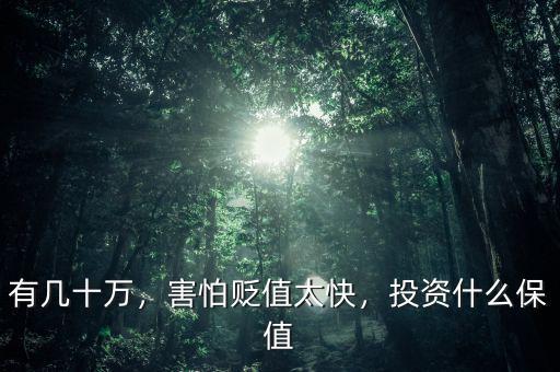 有幾十萬(wàn)，害怕貶值太快，投資什么保值
