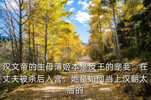 漢文帝的生母薄姬本是反王的寵妾，在丈夫被殺后入宮，她是如何當上漢朝太后的