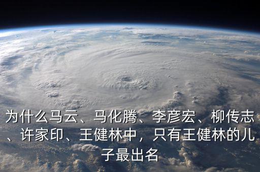 為什么馬云、馬化騰、李彥宏、柳傳志、許家印、王健林中，只有王健林的兒子最出名
