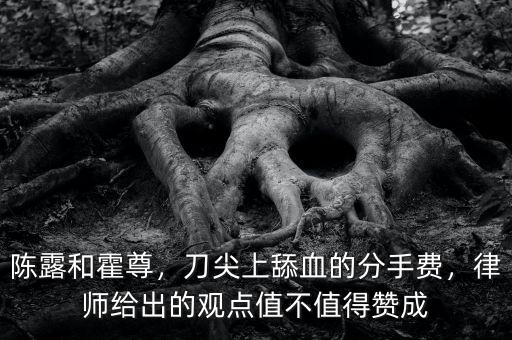陳露和霍尊，刀尖上舔血的分手費(fèi)，律師給出的觀點(diǎn)值不值得贊成