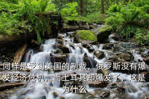 同樣是受到美國(guó)的制裁，俄羅斯沒(méi)有爆發(fā)經(jīng)濟(jì)危機(jī)，而土耳其卻爆發(fā)了，這是為什么