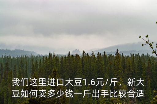我們這里進(jìn)口大豆1.6元/斤，新大豆如何賣多少錢一斤出手比較合適