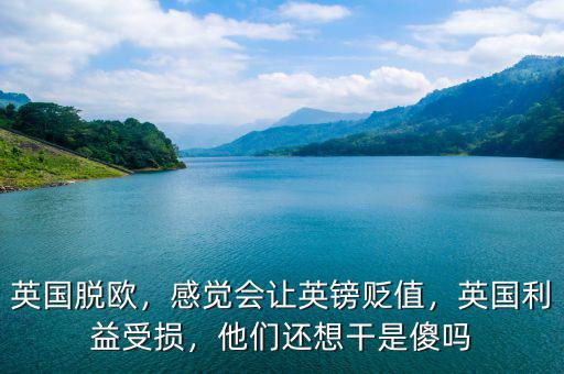 英國脫歐，感覺會讓英鎊貶值，英國利益受損，他們還想干是傻嗎