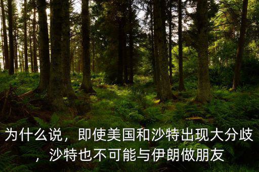 為什么說，即使美國和沙特出現(xiàn)大分歧，沙特也不可能與伊朗做朋友