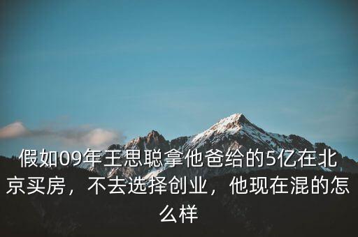 假如09年王思聰拿他爸給的5億在北京買房，不去選擇創(chuàng)業(yè)，他現(xiàn)在混的怎么樣