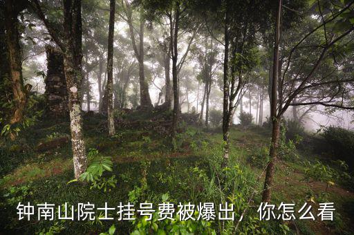 鐘南山院士掛號費被爆出，你怎么看